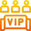 vip icon