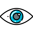 ojo icon