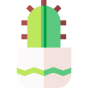 maceta icon