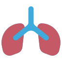 pulmones icon