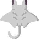 manta raya icon