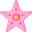 estrella de mar