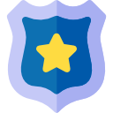 insignia icon