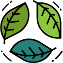 eco icon