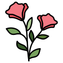 rosa