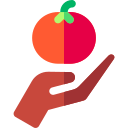 tomate icon