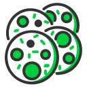 galletas icon