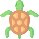 tortuga marina icon