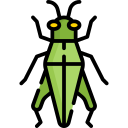 saltamontes icon