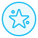 estrella icon