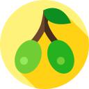 olivos icon