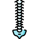 columna vertebral icon