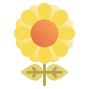 girasol icon