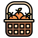 fruta icon