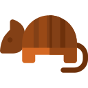 armadillo icon