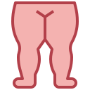 piernas icon