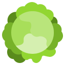 coliflor icon