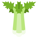 cilantro icon