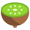 kiwi icon