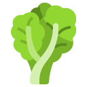 lechuga icon