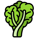 lechuga icon