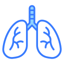 pulmones 