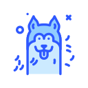 perro icon