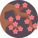 sakura icon