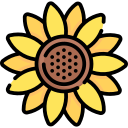 girasol icon