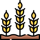 trigo icon