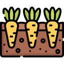 zanahorias icon