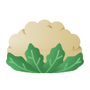 coliflor icon