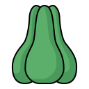 chayote icon