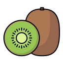 kiwi icon