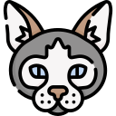 gato icon