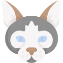 gato icon