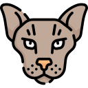 gato esfinge icon