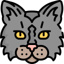 gato icon