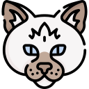 gato icon