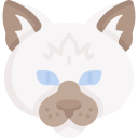 gato icon