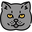 gato icon