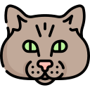 gato icon