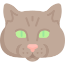 gato icon