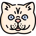 gato icon