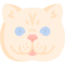 gato icon