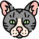 gato icon