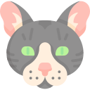 gato icon