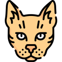 gato icon