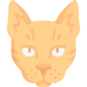 gato icon