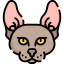 gato icon